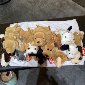Ty beanie babies-dogs! Collection of 10 Ty dog beanie babies. All with tags!